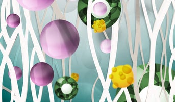 What is collagen?